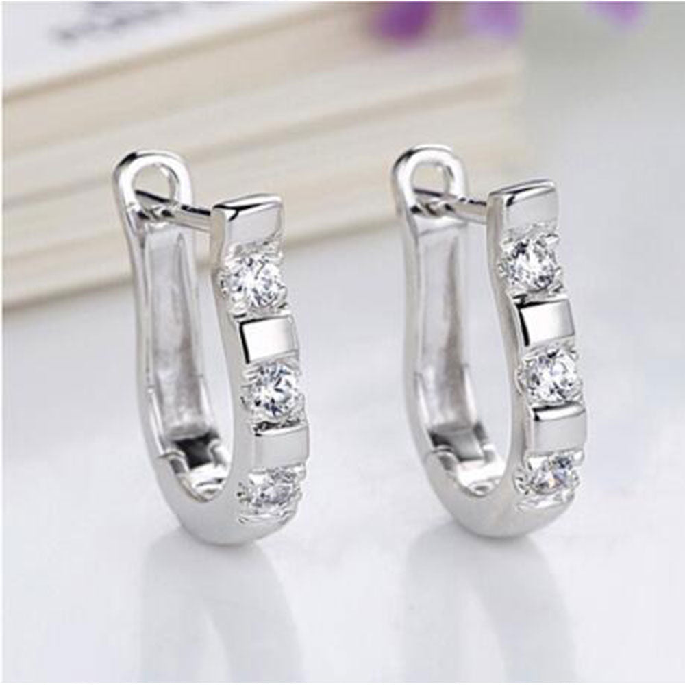 Platinum Hoop Earrings