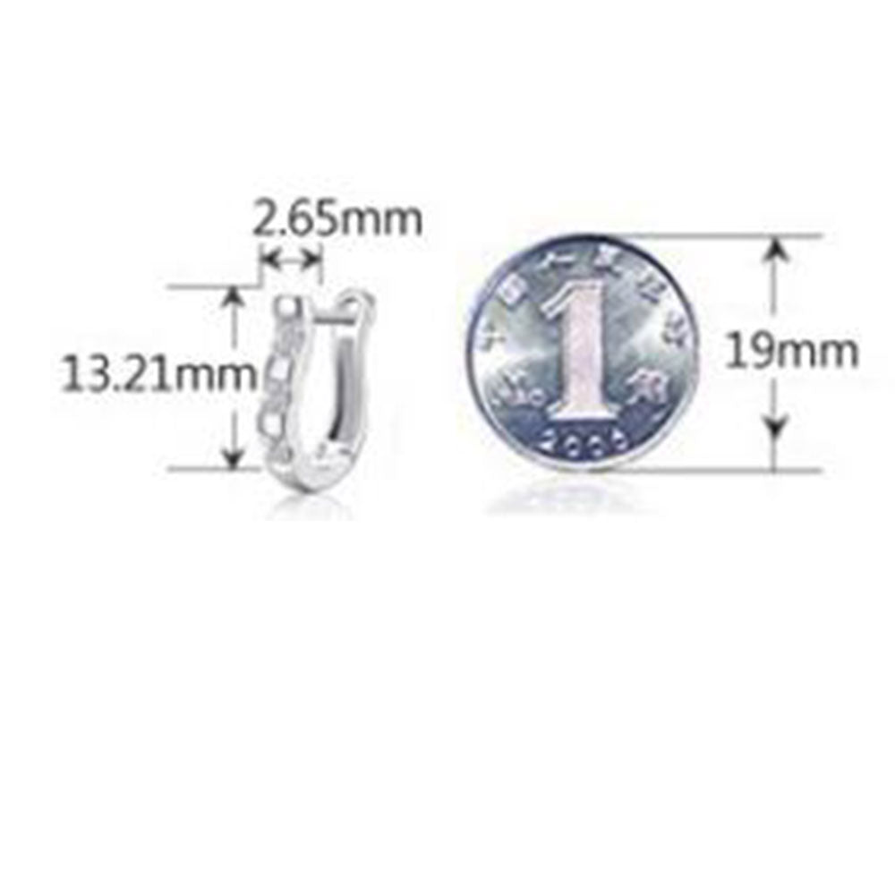 Platinum Hoop Earrings